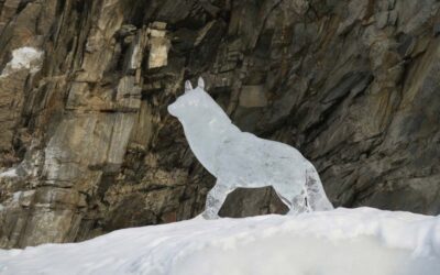 A jégművészet fenntartható megoldásai a természet inspirálásával