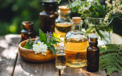 Téli túlélőcsomag – Támogassa a szervezetét a hidegben gyógytermékekkel!